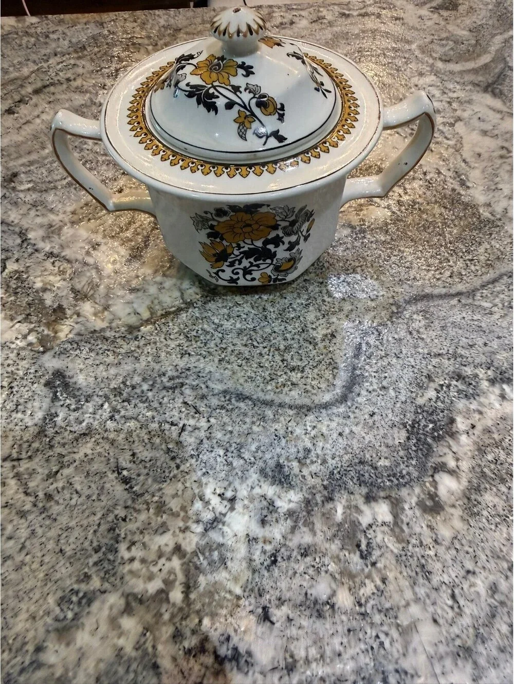 Porcelain Sugar Bowl with Lid, Booths Silicon China Ceylon Ivory Pattern